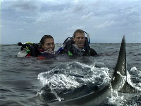 Nyílt tengeren 2003 indavideo  Régi álmukat valósítják meg, amikor befizetnek egy búvárkodással egybekötött nyaralásra